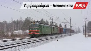Снежный день на западе Горьковской ЖД. Курлово, Гусь-Хрустальный, Мильцево, Нечаевская, Неклюдово.