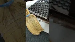 Изгнание самого ядовитого зми́я!🤗#shorts