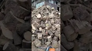 Бензопила Holzfforma G 255 (відгук клієнта)