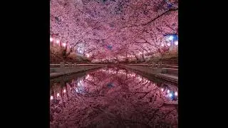 New audio music | Audio library| 2021