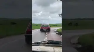 Reliant almost crash! #morbinmantas