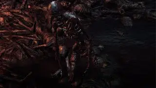 Bloodborne | How I've missed this jolly fellow!