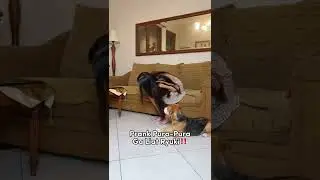 PRANK PURA-PURA GA LIAT RYUKI‼️🥺 