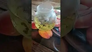 Чашечка чая – это вкусно и полезно🍵