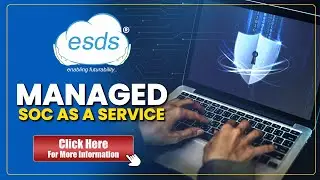 Mitigate Cybersecurity Risks in 2024: Choose ESDS Managed Security Services