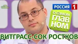 Витграсс wheatgrass, сок ростков, отзывы, польза и вред в программе С. Агапкина 