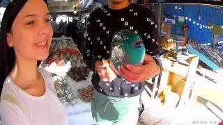 хургада рыбный рынок