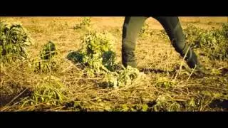 Divergent - Tris' Fear Simulation Training