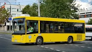 ФАНИПОЛЬ (Беларусь) | Поездка на Автобусе; МАЗ-206.047; гос. ВА 4959-5; марш. 53. (08.08.2024 г.)