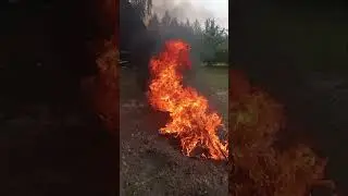 Русский Костер.