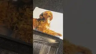 Us photographers dont print much anymore
