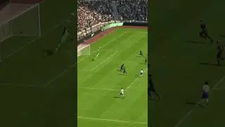 Defensa muro 
