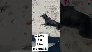 Plan for future, but live in the moment