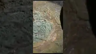 чистка монет