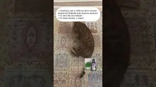 Три коротких анекдота. #анекдототкожаного