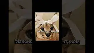 #шортс #рек #рекомендации