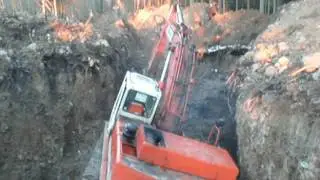 Такой большой и беспомощный