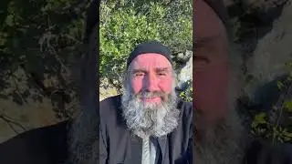 О чудесах, вере и самоукорении. Запись прямого эфира от 13.04.2022. Монах Андроник. Афон