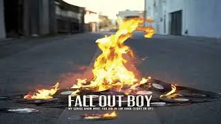 Fall Out Boy- My Songs Know What You Did In The Dark (Arena Effect)