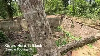 Gopro hero 11 sample video