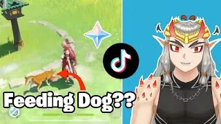 Genshin Tiktok's Tips All Players Should Know