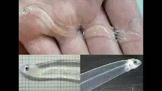 Be careful before drinking tap water