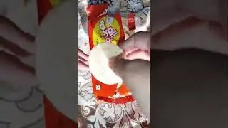 review of sunfeast potata all rounder 🍪 biscuits *gone Wrong*