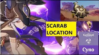 Scarab Locations | Fast and Efficient Farming Route | Cyno Ascend Material |【Genshin Impact】