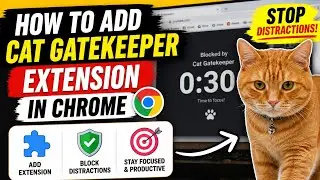 How to Add Cat Gatekeeper Extension in Chrome | Block Screen & Stay Focused (Step-by-Step)