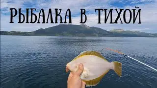 Сахалин - рыбалка в бухте Тихой , супер виды и улов