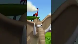 Workout In The Jungle 