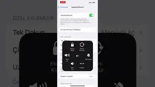 Taking Screenshots on iPhone Phones
