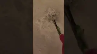 clean the hair out the drains. 