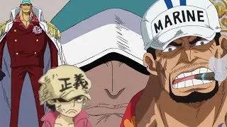 One Piece | All Marine Characters After Timeskip One Piece Age Comparison marine Characters