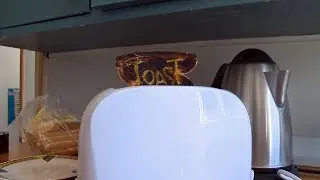 RIALTO 48HOURS: Toast (Flashes)