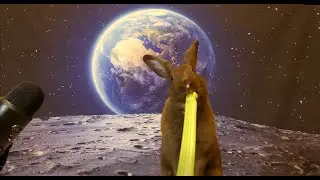 Rabbit Eats Space Celery On The Moon ASMR