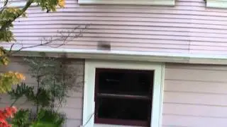 Stapler Falling