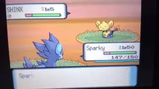 Pokemon DPP 2 shiny shinx Pokeradar  chain of 40.. MY FIRST 40 CHAIN