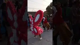 wah kupu kupu ya besar banget ..