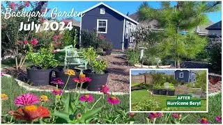 Backyard Garden BEFORE and AFTER Hurricane BERYL - July  2024