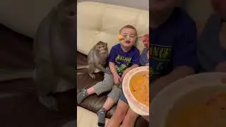 Обезьянка ест с детьми