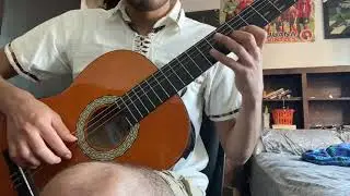 Ríos de lágrimas - Los Fabulosos Cadillacs (solo) cover