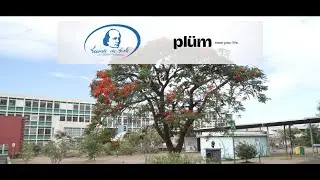 Startups à l'École - Leconte de Lisle X la startup Plüm