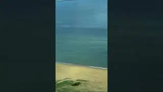 Tiburón en Punta del Este,Uruguay de abril 2018.