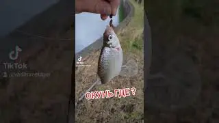 #youtubeshorts #youtuber #fishing #fishingtips #рекомендации #рек #рыбалка #врек #врекомендации