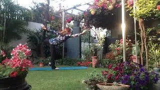 Monday | Shiva’s dance pose |Natrajasana |  an easy variation | balance | strength | concentration