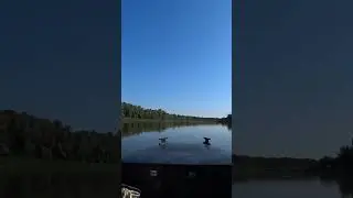 акл 4 из ПНД, под 9.8, на Дону.
