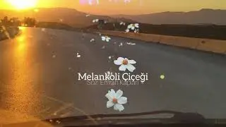 Melankoli Çiçeği