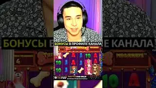 Ч2.НЕРЕАЛЬНЫЙ ЭМОЦИИ😨😨 ОН ДУМАЛ ЧТО ЭТО ПОСЛЕДНЯЯ БОНУСКА В ДОГ ХАУСЕ #shorts #казино #максвин