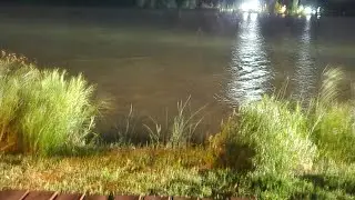 Выходной на рыбалке.